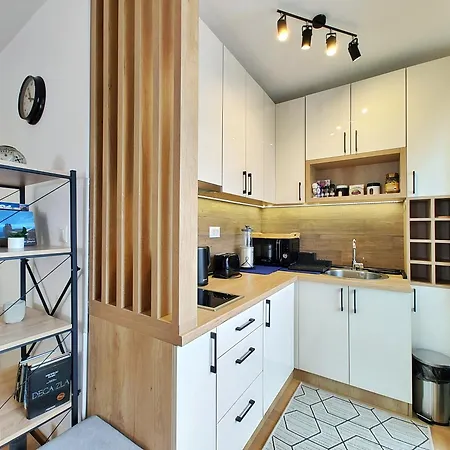 Oasis 兹拉蒂博尔