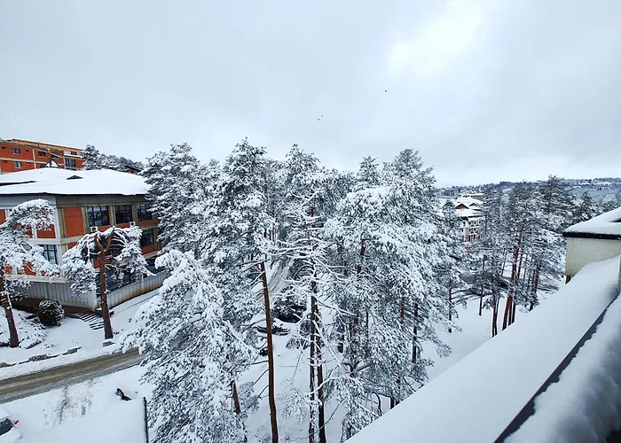 Lejlighed Oasis Zlatibor